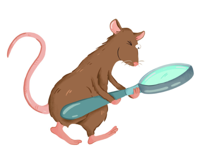 Rat met vergrootglas